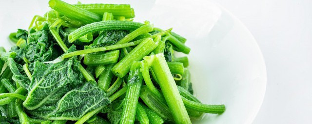 食用南瓜苗的禁忌有哪些(南瓜苗哪些人不能吃)