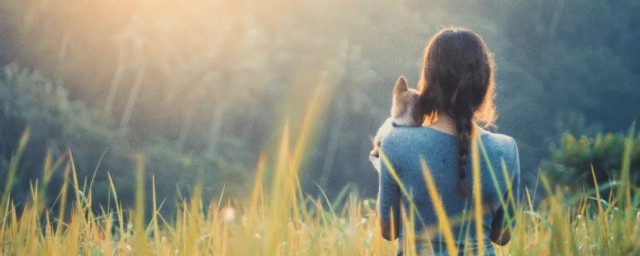 晒背的功效(晒背的功效和作用)