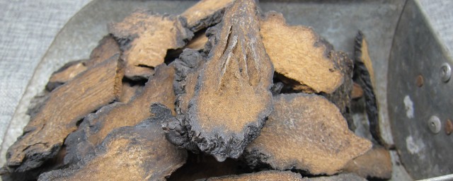 肉苁蓉切片时间(肉苁蓉切多厚的片)