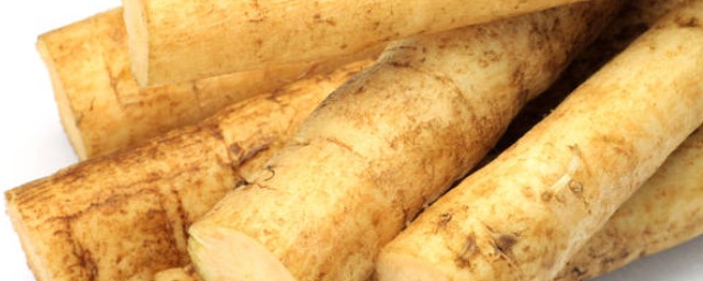 关于生牛蒡与炒熟牛蒡的区别(牛蒡好熟吗)