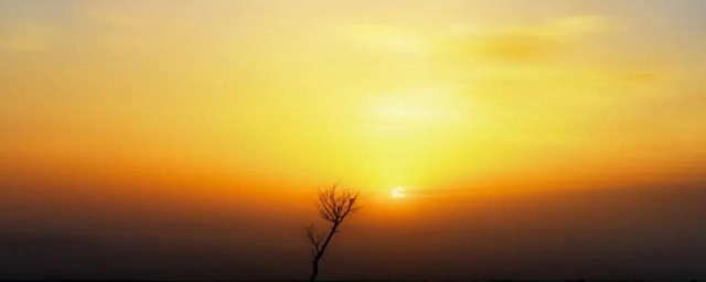 气度是什么意思(胸襟气度是什么意思)