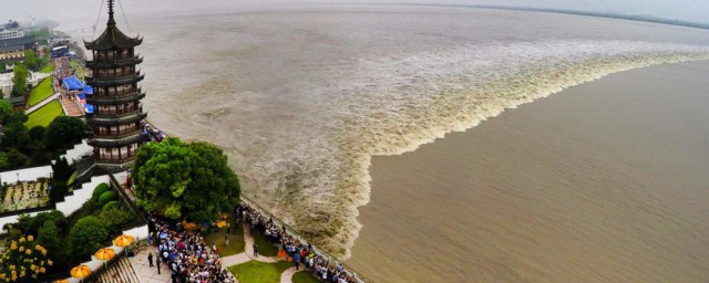 钱塘江观潮最佳时间和地点介绍(钱塘江观潮最佳位置和时间)