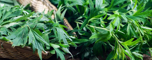 艾叶生姜花椒泡澡的方法及用量有规定吗(艾叶生姜花椒多久泡一次)