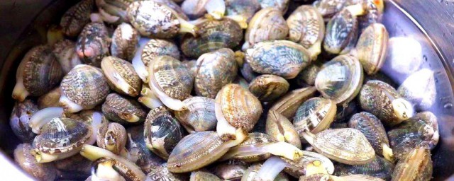 花甲用盐水泡一夜会不会死(花甲一直泡在盐水里会不会死)