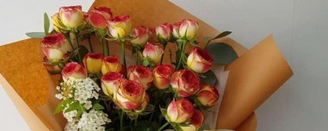 送玫瑰的寓意(送玫瑰花的寓意和象征)