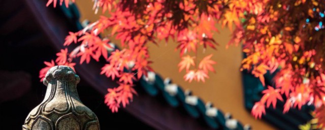 常恐秋节至焜黄华叶衰释义(常恐秋节至焜黄华叶什么)