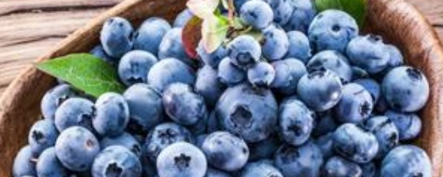 蓝莓变质是如何辨认的(如何辨别蓝莓是否坏掉呢)