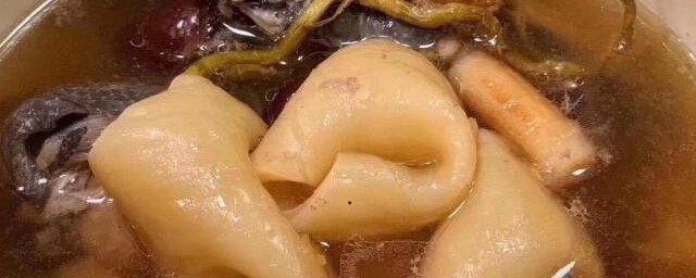 石斛花胶汤哪些人不能喝(花胶煲石斛有什么功效)