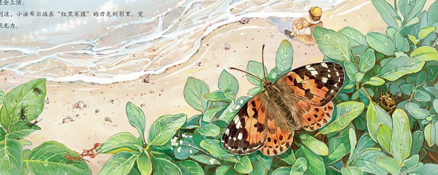 昆虫记的主要内容是什么(昆虫记的主要内容是什么?50字左右)