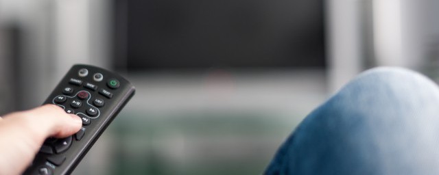 电视剧雪豹有哪些演员(雪豹电视剧主演员名字)