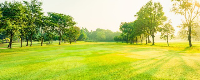 绿色象征的寓意介绍(绿色象征的什么)