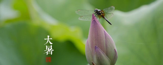 大暑节气有什么含义(大暑节气的本意)