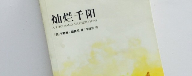 灿烂千阳主要内容(灿烂千阳主要内容概括)