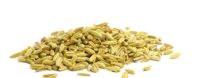 新鲜的茴香如何保存(新鲜茴香怎样保存)