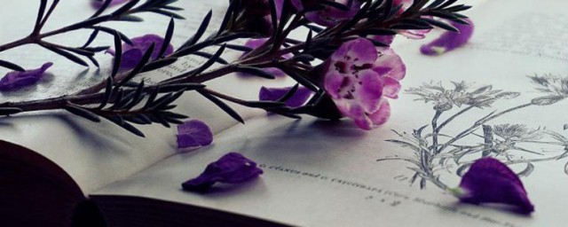 字词解释怎么理解(如何解释词义)