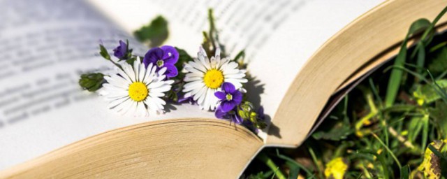 告加鸟的字介绍(告加一个鸟什么字)