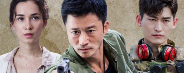 战狼2简单介绍(战狼2内容详解)