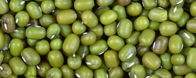 绿豆是不是发物(绿豆粉是不是发物)