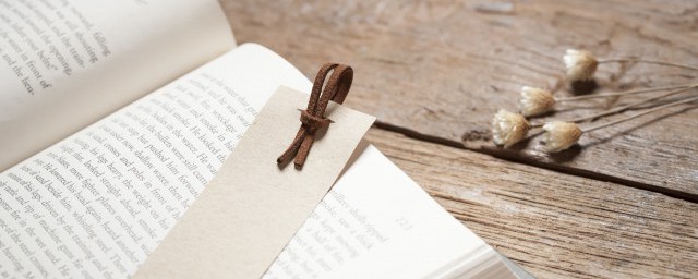 冷月公主的意思是什么(冷月是啥意思)