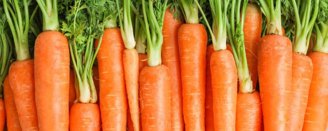 如何长期保存胡萝卜(胡萝卜保存时间长的办法)