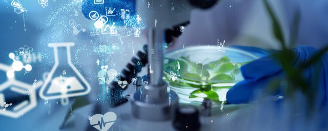 激素的作用介绍(激素是起什么作用)