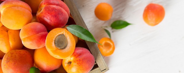 高蛋白水果介绍(高蛋白水果排行一览表)