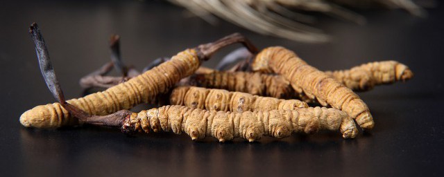 冬虫夏草有哪些人不适合吃(冬虫夏草哪些人能吃哪些人不能吃呢)