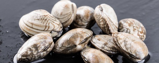蛤蜊长期储存的方法(蛤蜊的储藏方法)