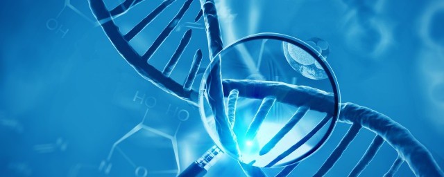 高一生物中ATP是什么(高一生物atp的主要来源细胞呼吸)