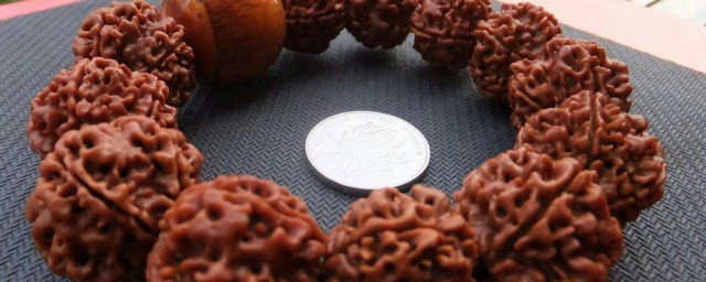 金刚菩提颜色介绍(金刚菩提子颜色)