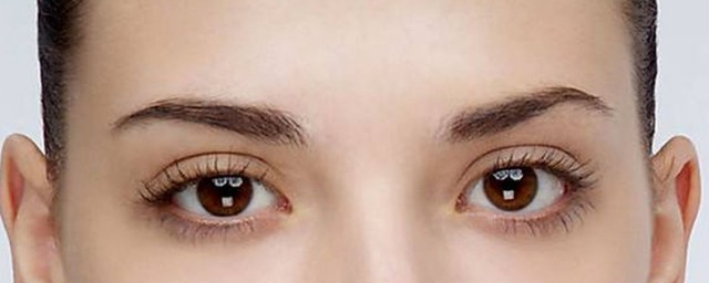 眉毛种植注意事项介绍(眉毛可以种植)