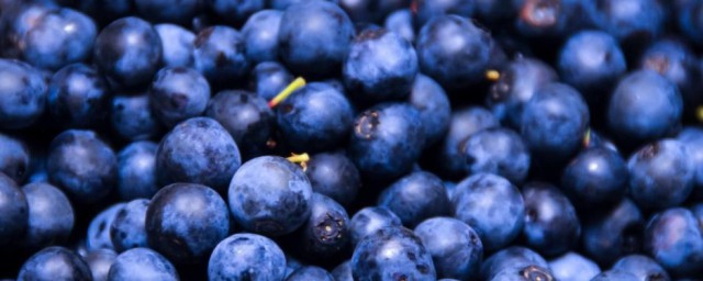 蓝色的水果简单介绍(六种蓝色水果)