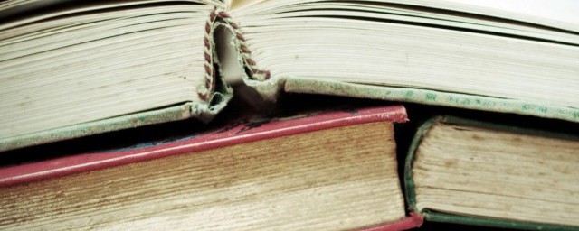 打投解释(打投是干嘛)