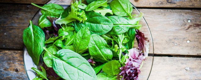 木耳菜适宜人群(木耳菜的功效与禁忌人群)