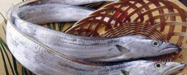 了解冻带鱼段发黄了能吃吗(带鱼冻时间长了发黄还能吃吗)