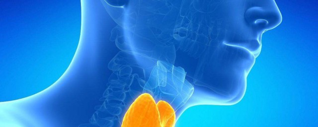 甲功八项简单介绍(甲功八项百度百科)