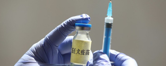 狂犬疫苗禁忌注意事项分享(狂犬疫苗有哪些注意事项和禁忌)