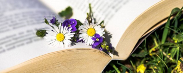 日月同辉的解释(日月同辉引申义)