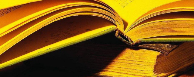 征信关注解释(个人征信关注是什么意思)