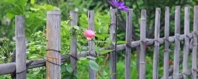 篱笆的解释(篱笆的解释和拼音)