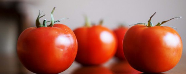 关于西红柿种植注意事项(关于种植西红柿的小知识)