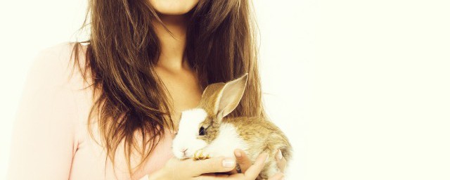 兔子可以洗澡吗(兔子可以洗澡吗多久洗一次)