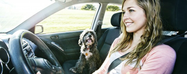 直接考b2驾驶证可不可以(能直接考b2驾驶证吗)