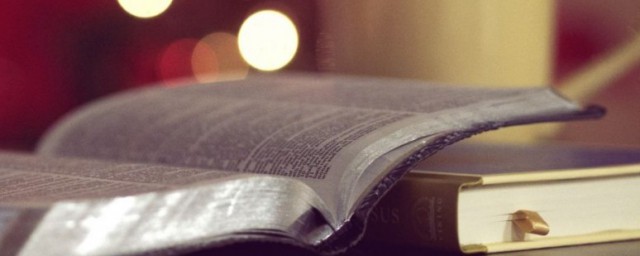 忠厚平实解释(忠厚老实解释)