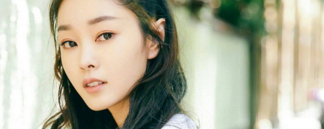 宋轶人物介绍(宋轶人物关系)