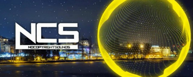 NCS代表哪些意思呢(NCS缩写什么意思)