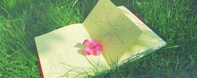 愤慨的拼音及出处(愤慨拼音怎么拼写)