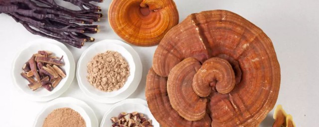 灵芝孢子粉的食用禁忌有什么(灵芝孢子粉的食用方法和禁忌)