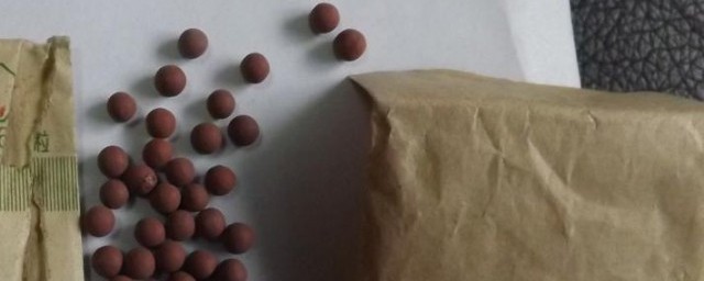 人丹有什么功效与作用禁忌(人丹的主要功效)