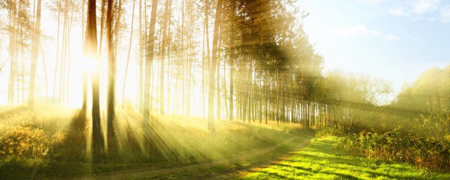 晴朗的出处是哪里(晴朗在哪里)